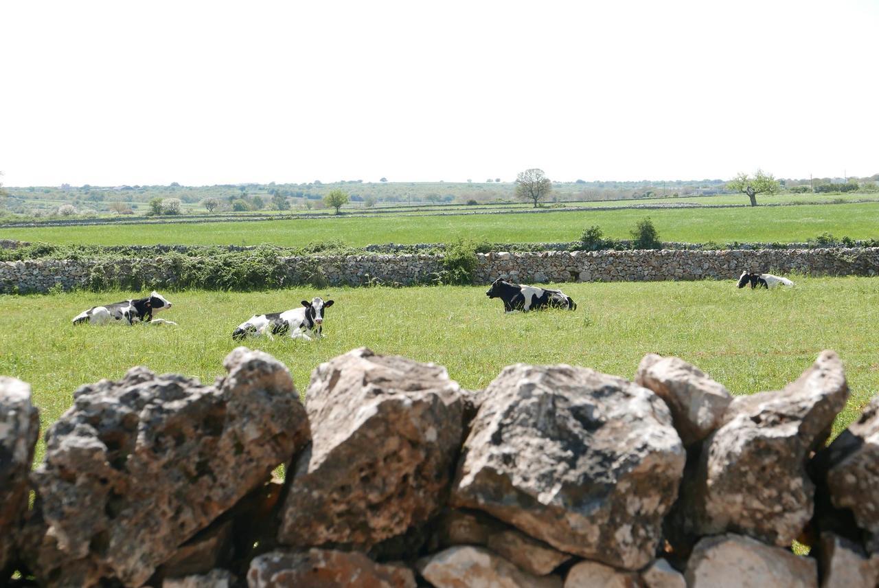 Bed and Breakfast Masseria Murgia Albanese Noci Exterior foto